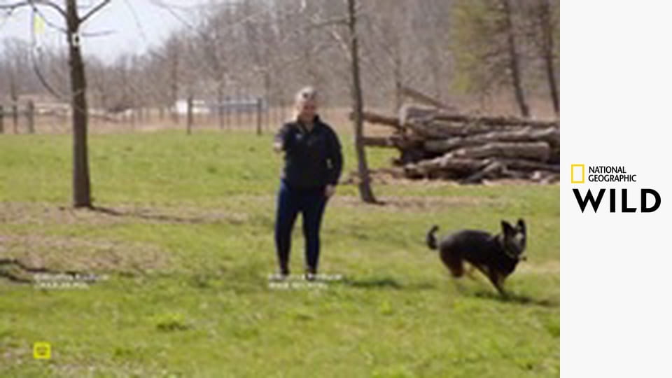 Невероятный доктор Пол S24E3