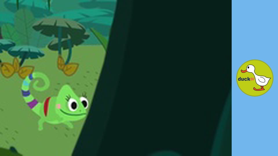 Color Clara - Exotic Animals