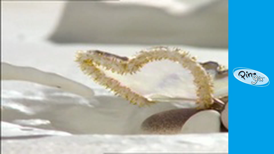 The Pingu Show Сезон 1 Епизод 76