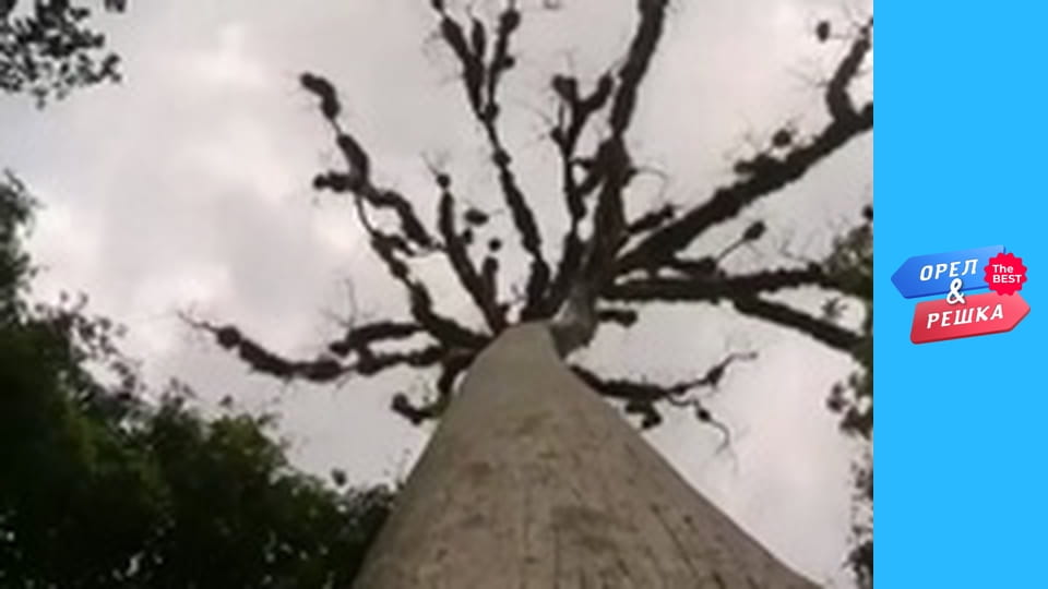 100 Dollars, Issue 143