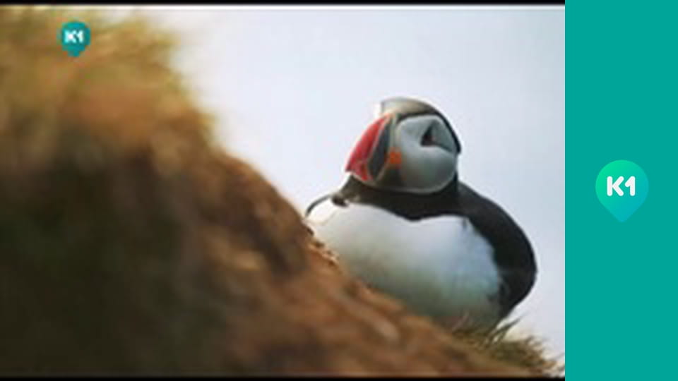 "Так не бывает".