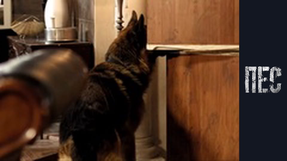 Пес, Сезон 3, Серія 19