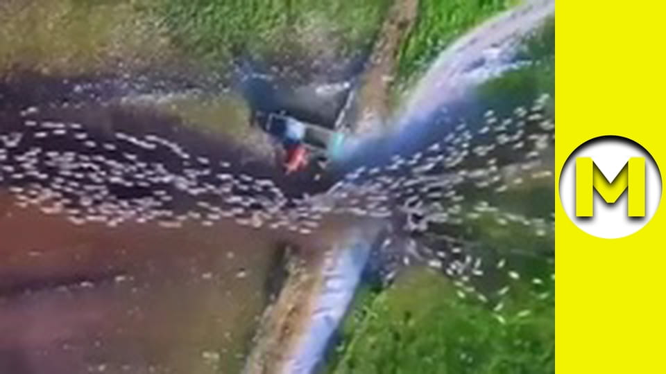 TOP (Max TV) - сезон 3 - серія 16