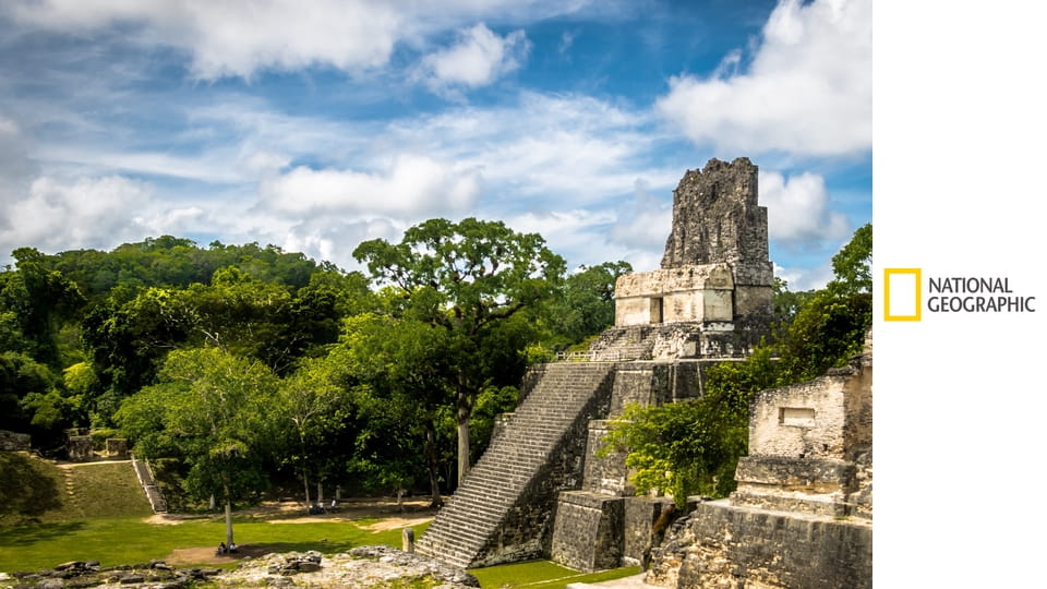 Взлет и падение цивилизации майя S1E3 - Коллапс