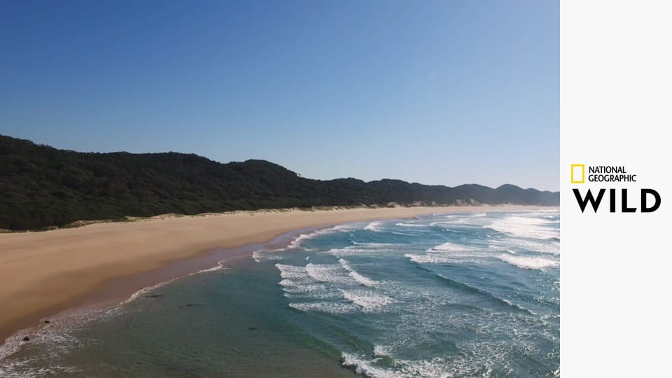 Смертоносная Африка S1E2 - Побережья