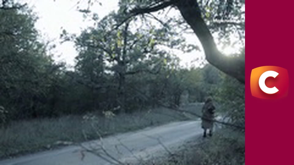 "Історія одного злочину", 8 сезон, 29 еп. "Пекельний трикутник: частина 2".