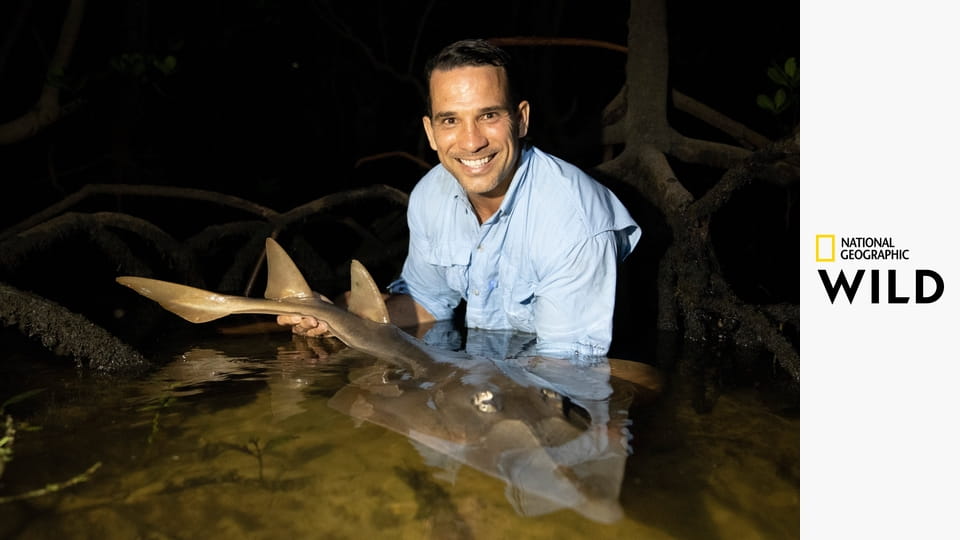 Született túlélők S1E4 - Tengerpart