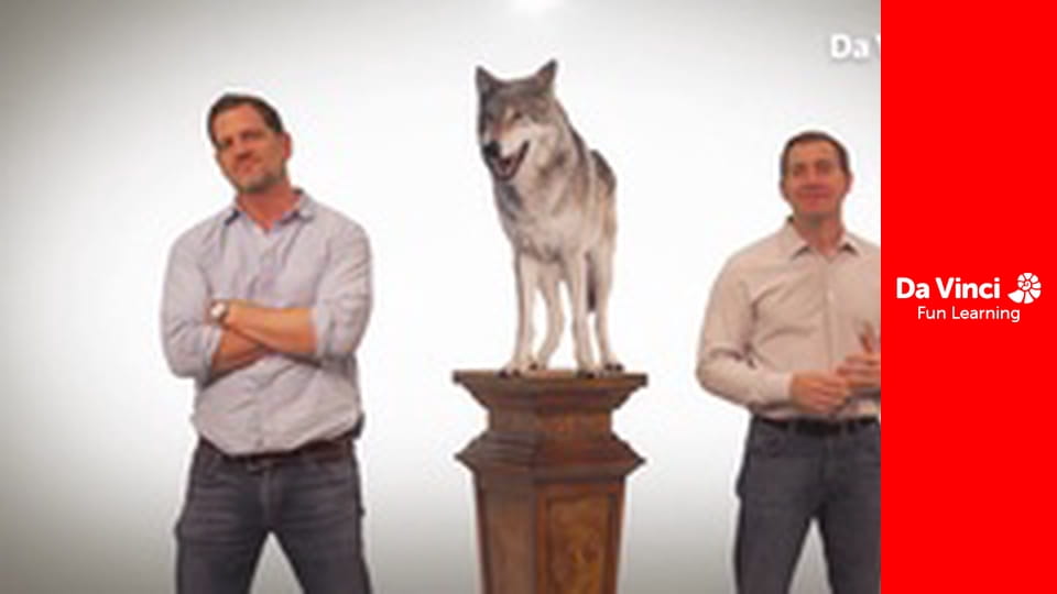 Винаходи - Магія фільмів про тварин