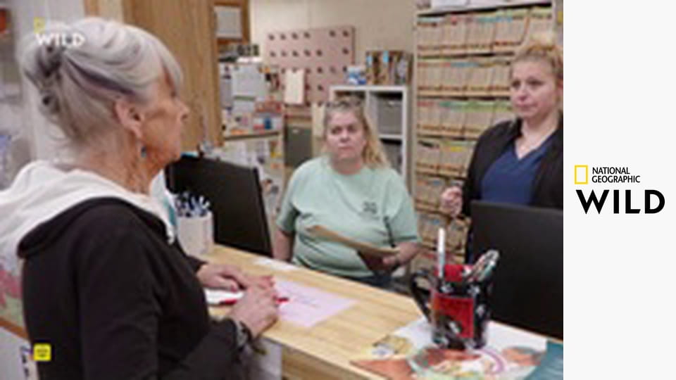 Невероятная ферма Пола S1E4 - Вы что, сме-е-ётесь?