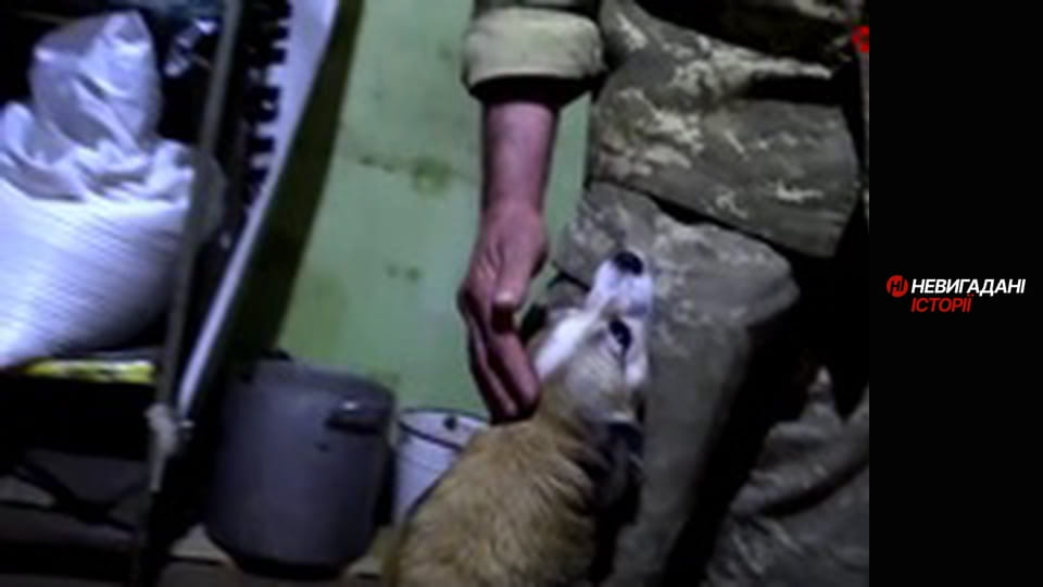 Невигадані історії. Східний фронт.