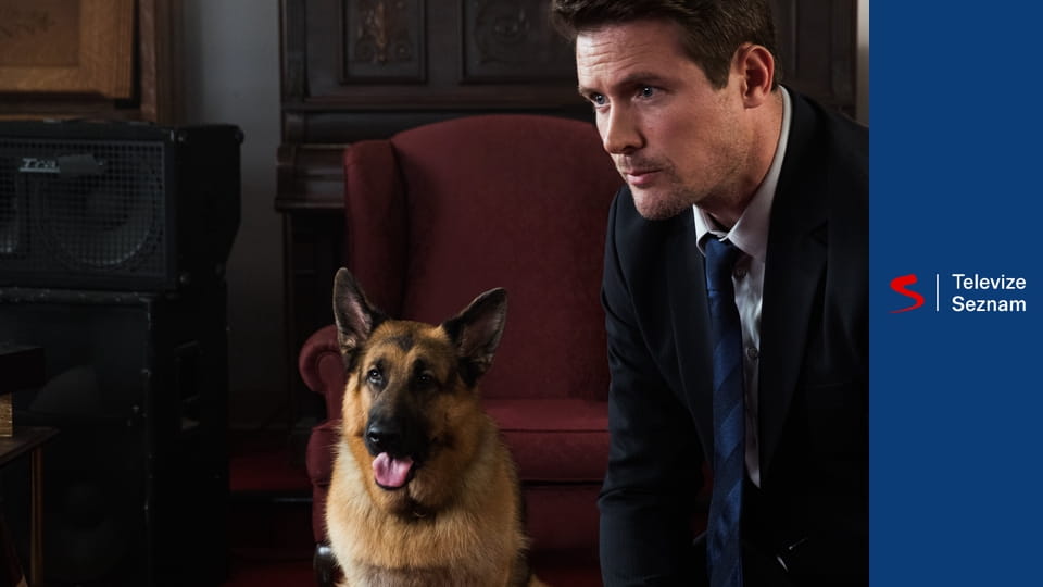 Hudson a Rex S3E14 - Leviho tajný život