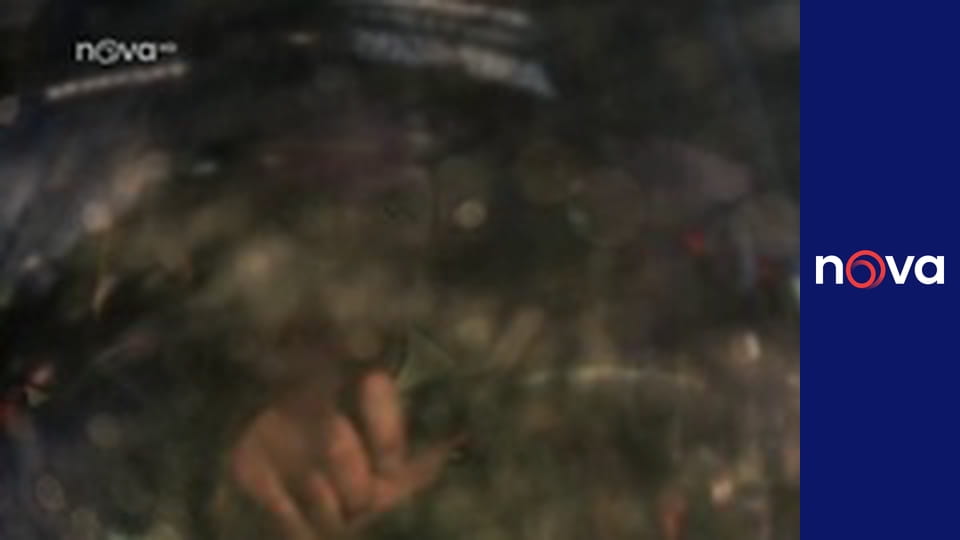 Kriminálka Las Vegas S14E7 - Zataženo