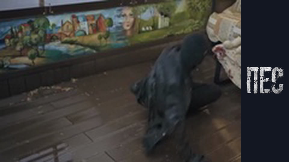 Dog, Season 6, Episode 15