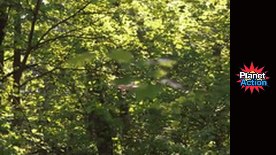 Планета Кіно Сезон 1 Епізод 132