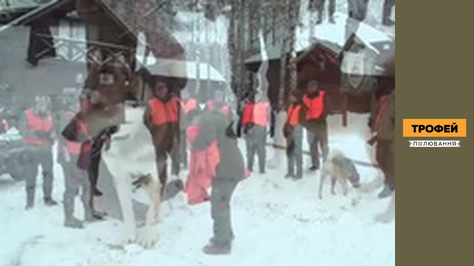 Trophy hunting. Season 1 Episode 11