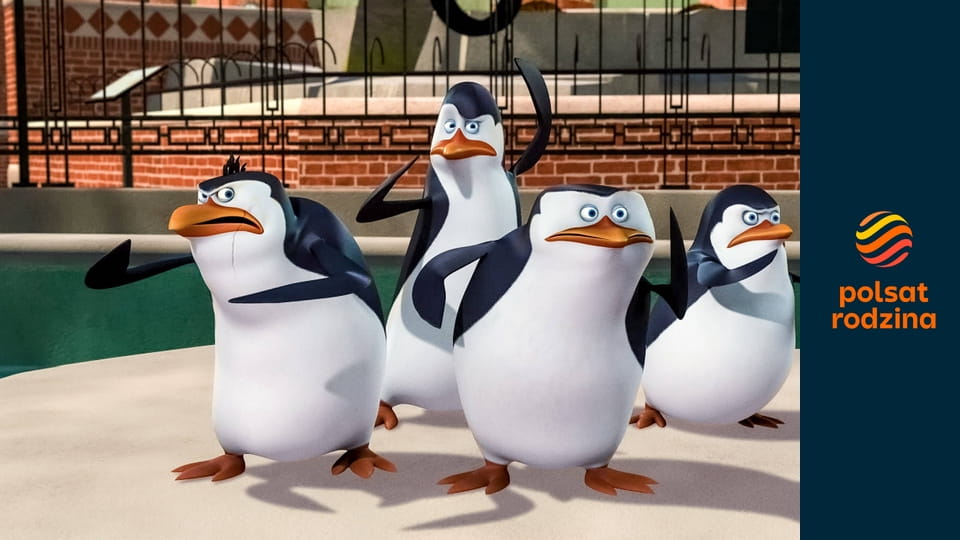 Pingwiny z Madagaskaru S2E7 - Uwolnić owcę / Twarde jajko do zgryzienia