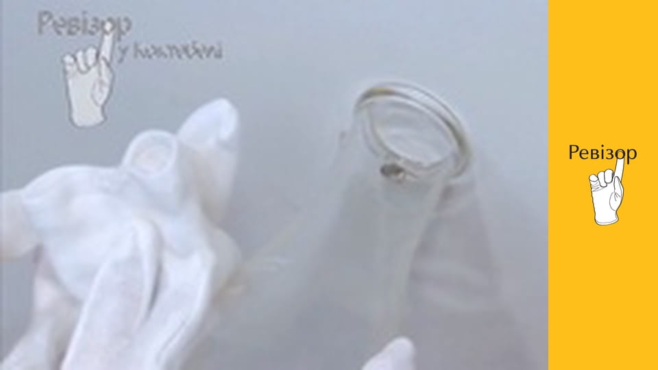 Ревізор, Сезон 4, Випуск 17