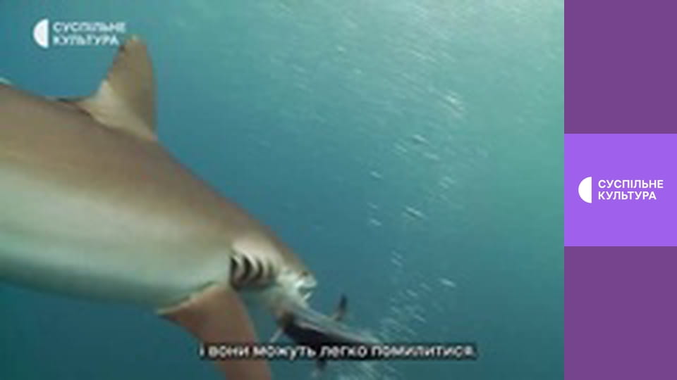 Х/ф "Серце на гачку".