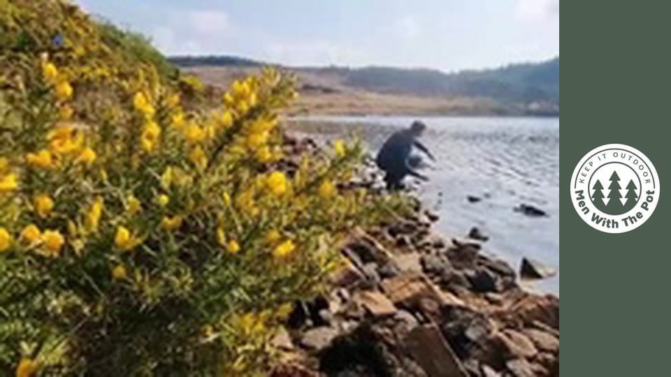 Best Meatballs PASTA
