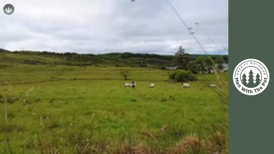 Super Crispy Chicken Sandwich with Forest-made Mayonnaise