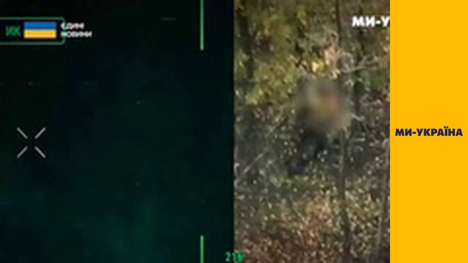 "История войны".