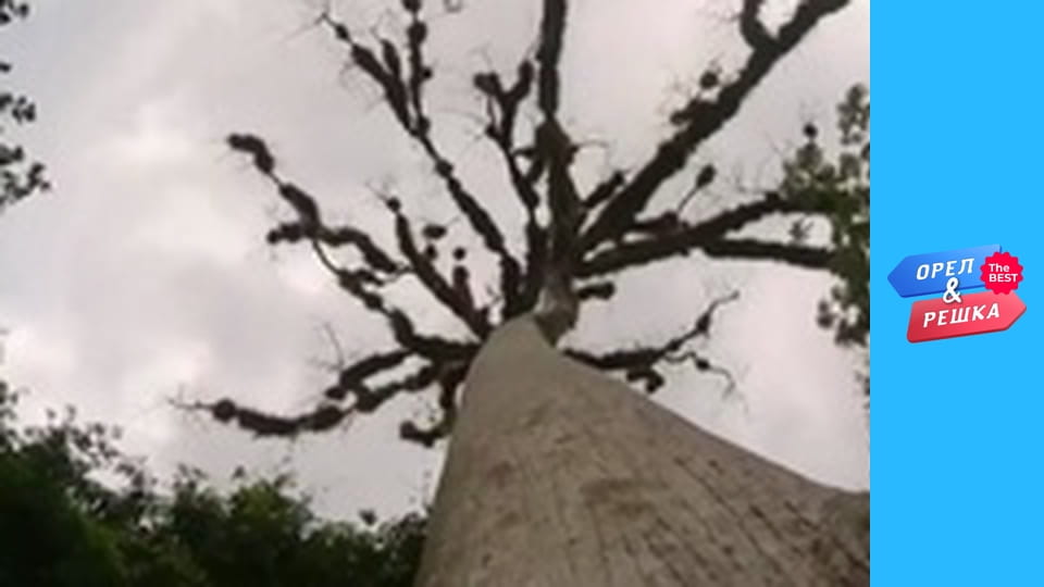 100 долларов, Выпуск 2