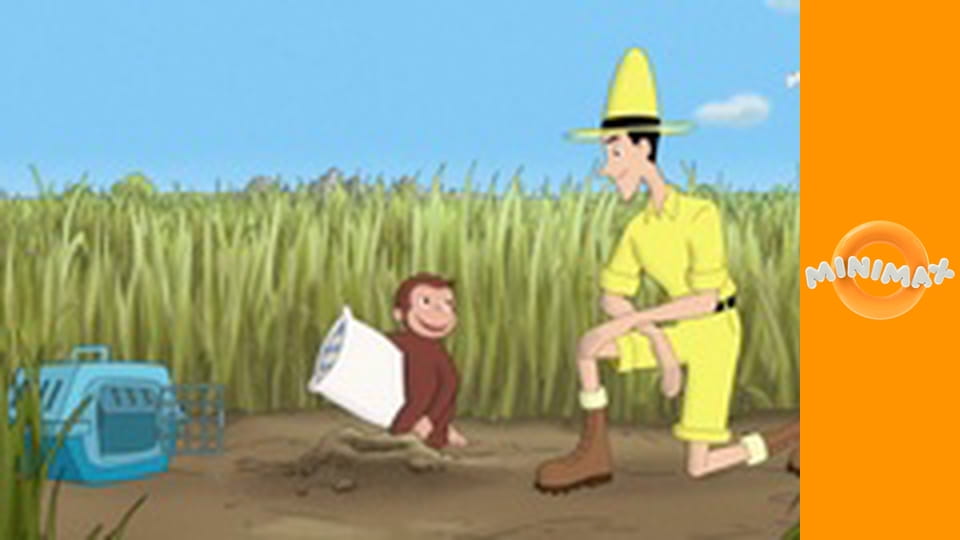 Zvědavý George S14E13 - Georgova geodová radost/Muž se žlutými vlasy