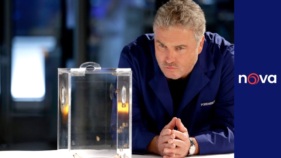 Kriminálka Vegas S1E9 - Čekání na příležitost