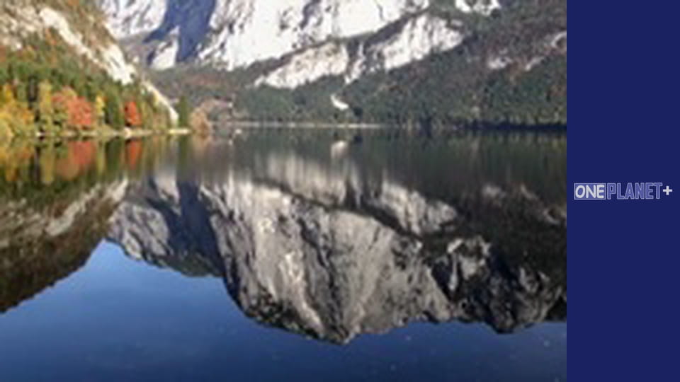 Secret. World War II. - episode 4