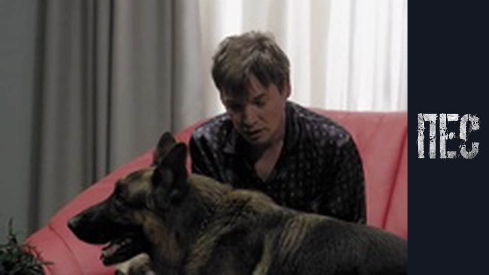 Пес, Сезон 1, Серія 19