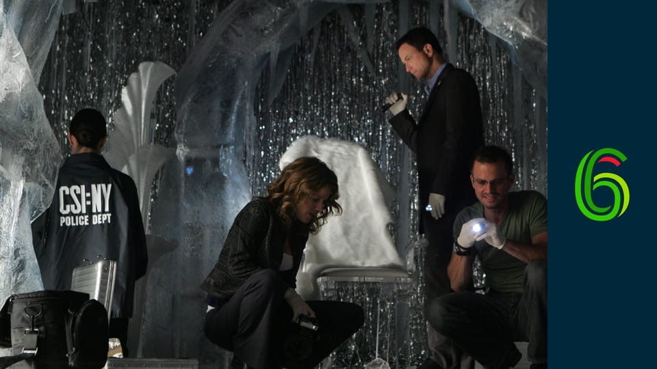 CSI: Kryminalne zagadki Nowego Jorku S6E8 - Kukułcze gniazdo