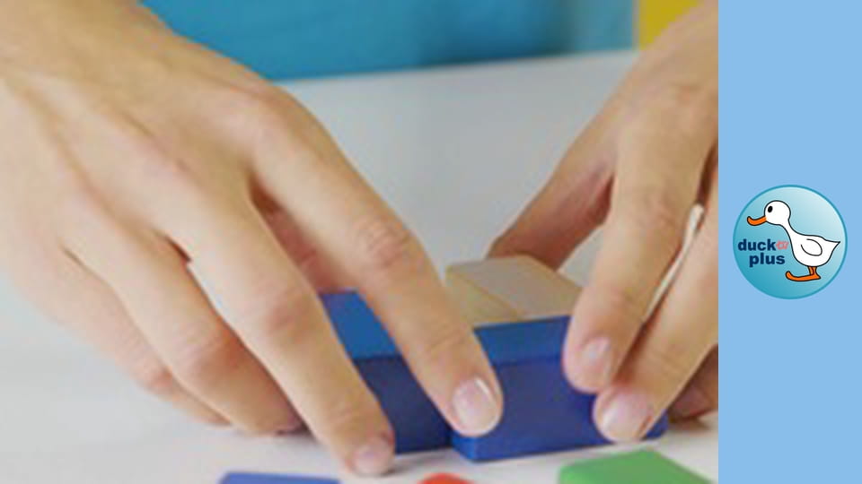 The World of Toys - Wooden building blocks 5