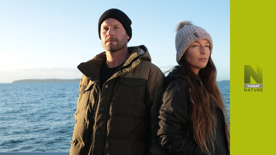 Бос серед акул