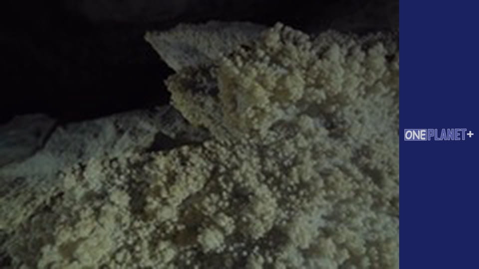 У пошуках знань. - серия 9