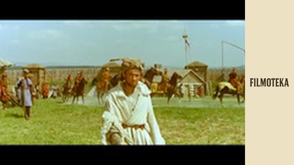 Colonel Wolodyjowski part 2