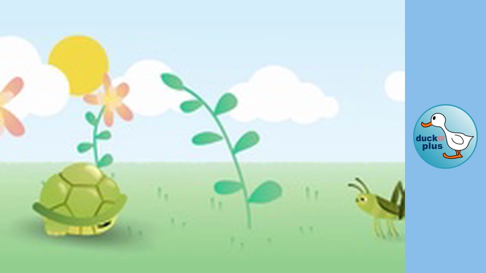 Home Sweet Home - Turtle