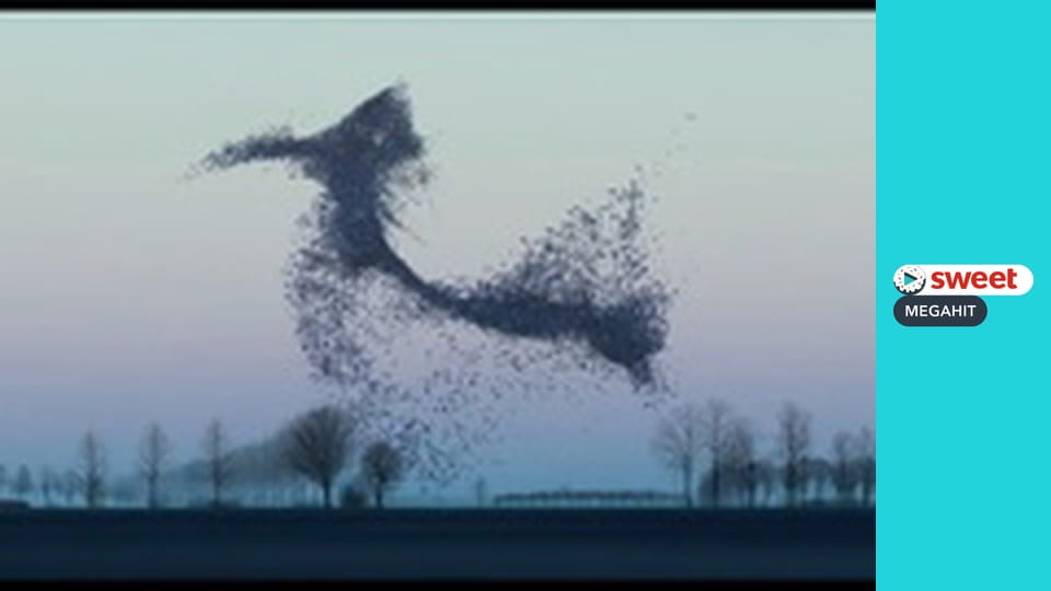 Річард говорить 'Прощавай'