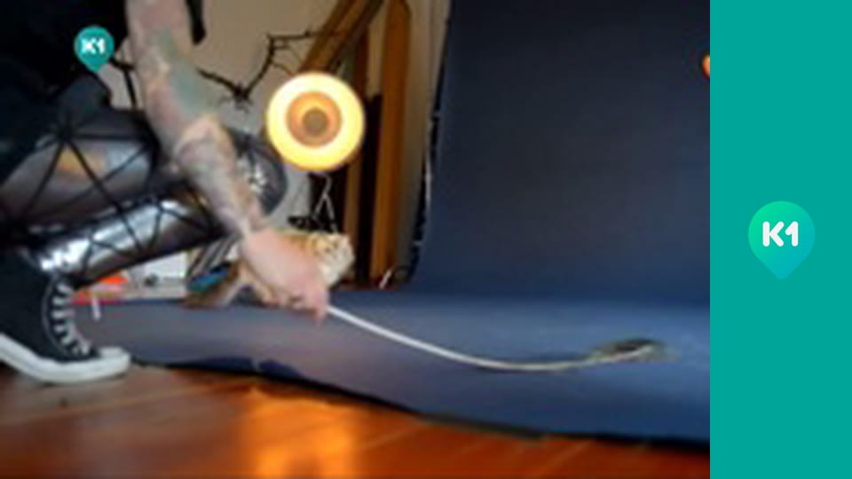 "Так не буває".