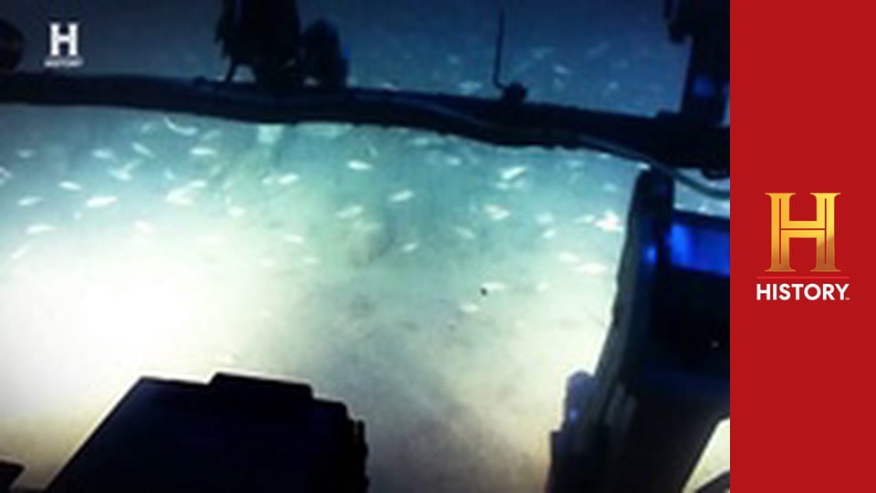 Неожиданные открытия с Дэнни Трехо, 2 сезон, 5 эп. Удивительные находки.