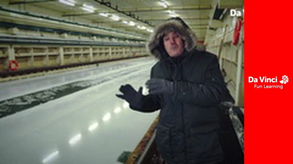 Футурис - "Линшипс": изменения в кораблестроении