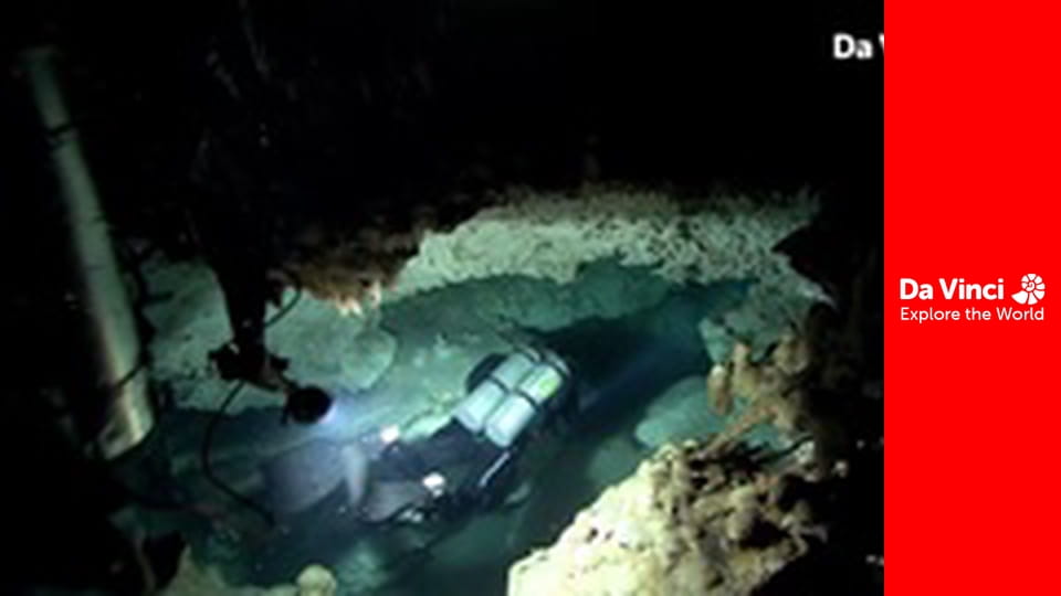 Бунтівні тварини - Хто живе в цій печері?