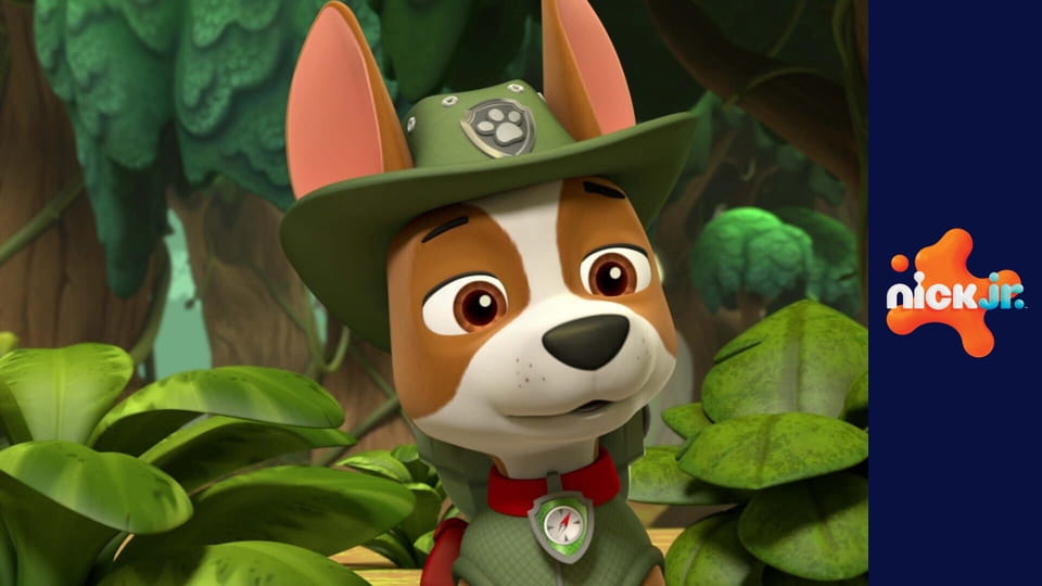 Tlapková patrola S5E24 - Tlapky zachraňují Sběr O-Matika / Tlapky zachraňují maskota