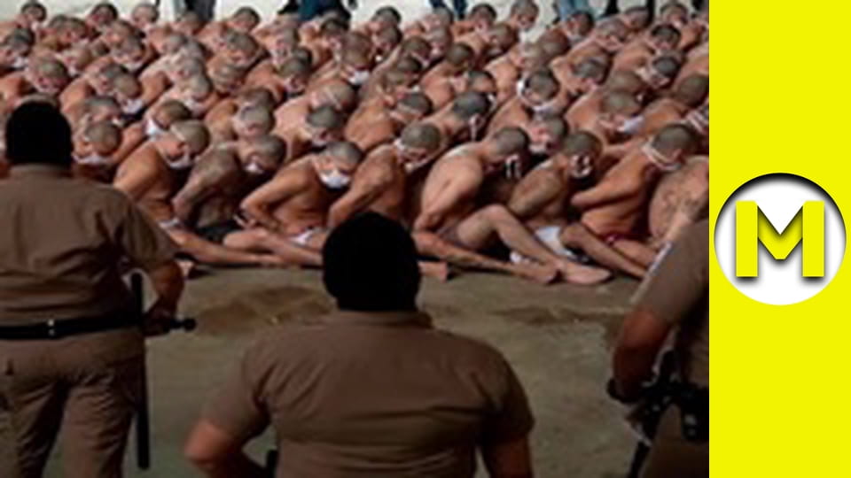 TOP (Max TV) - сезон 3 - серія 10