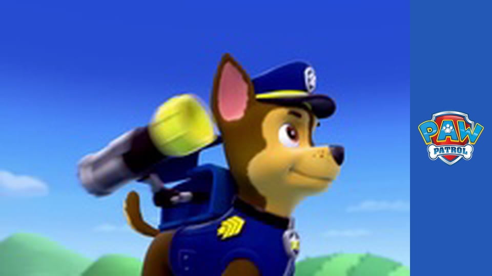 Paw Patrol Season 1 Episode 1