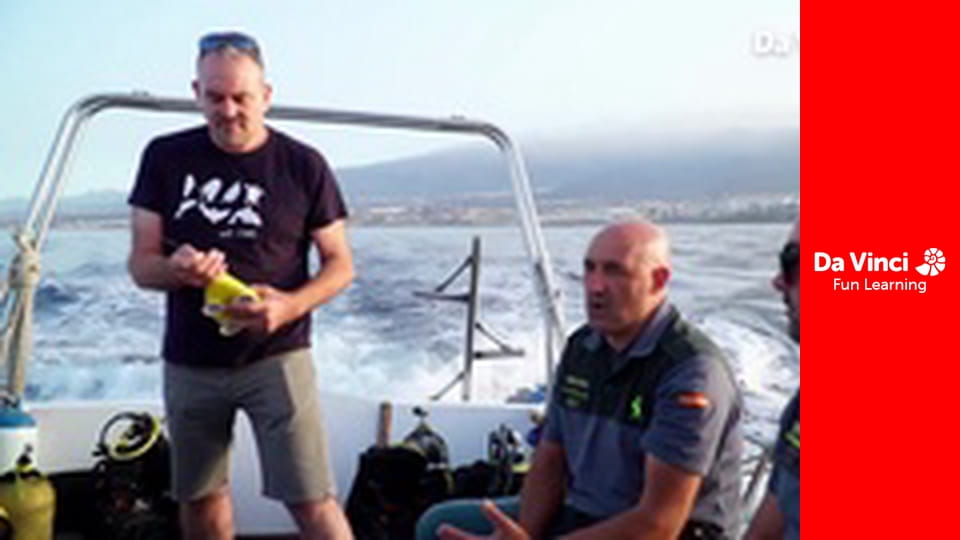 Посольство тварин - Дельфін