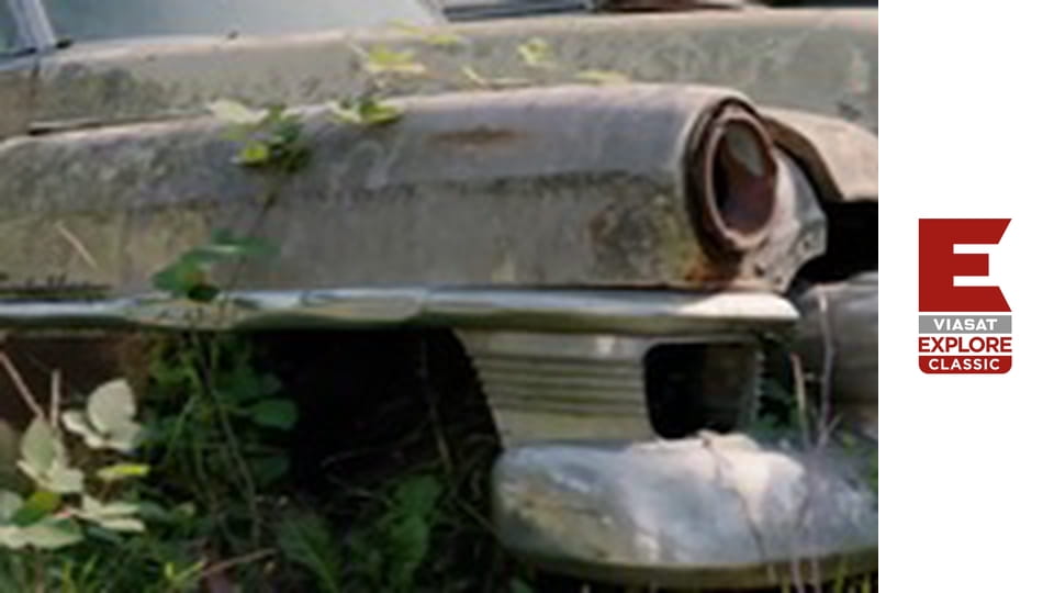 Рятувальникі в буші - Безрозсудний