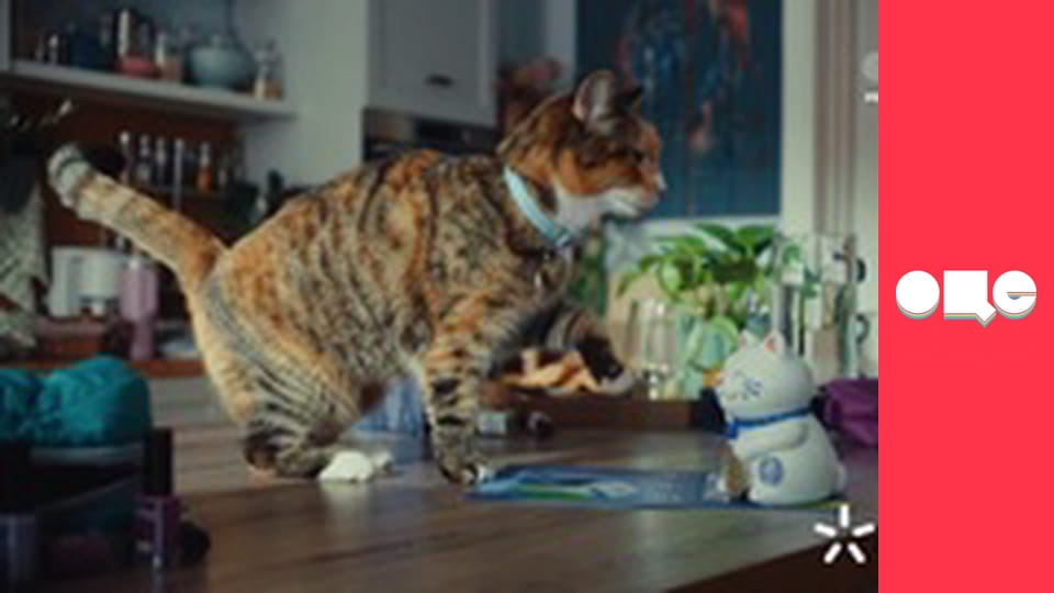 Следствие ведут экстрасенсы, 2 сезон, 21 эп. Дом.