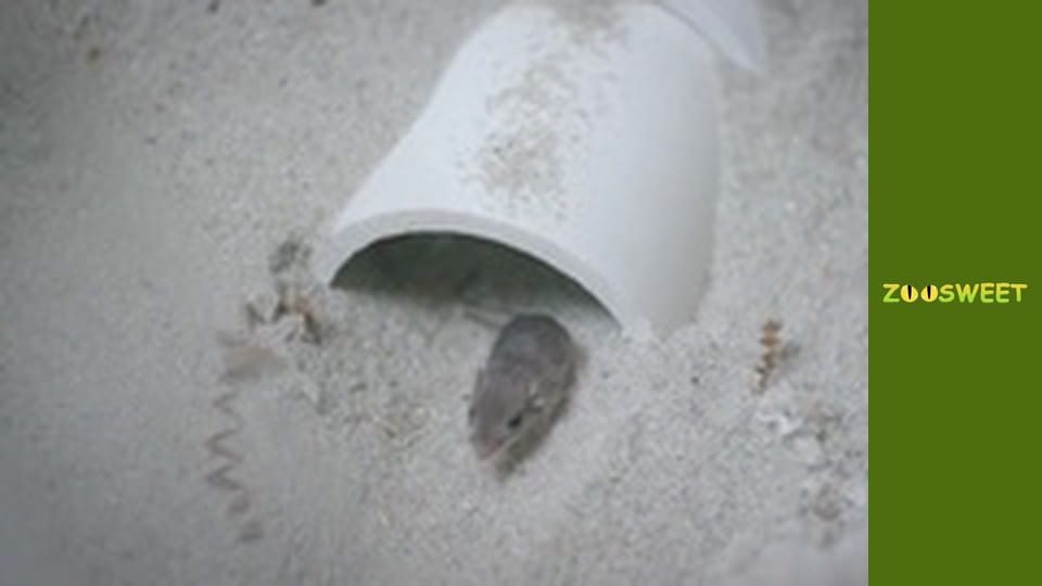 Дикі забави Сан-Дієго - серія 14