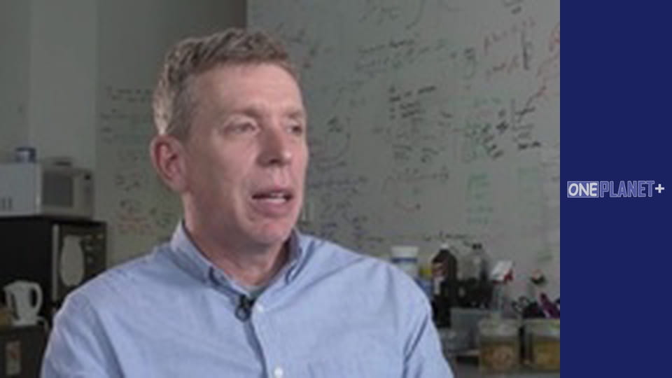 Ваш фантастичний розум, Сезон 1, Випуск 3