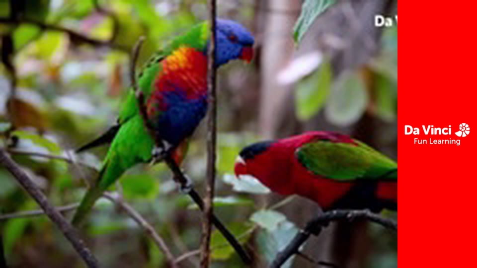 Animal Embassy - A Day in the Life of Ester